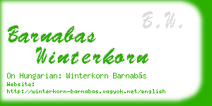 barnabas winterkorn business card